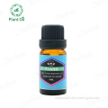 /msite/products/detail/productid/57147258/id/667597.html